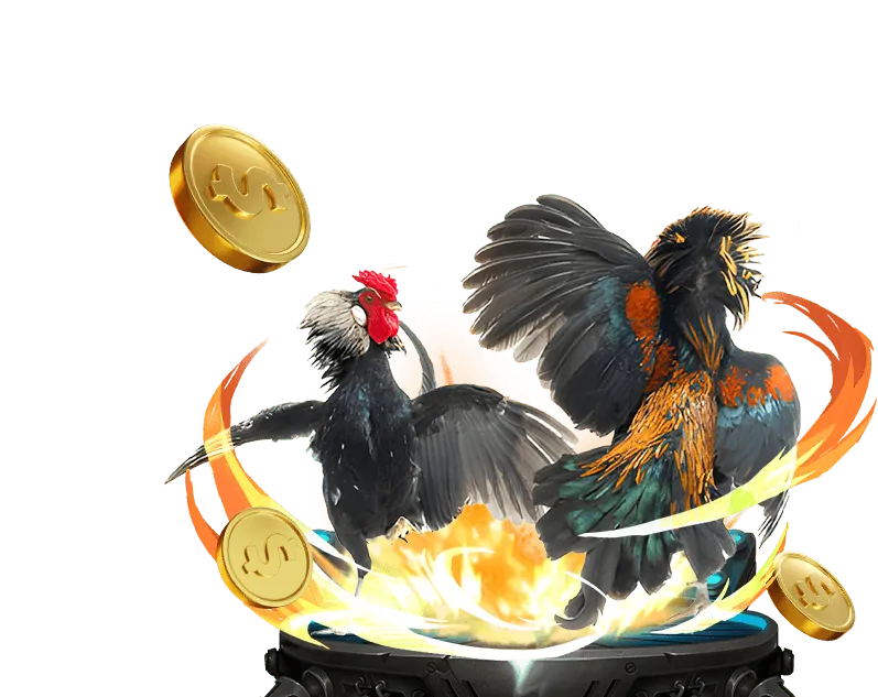 Cá cược eSports tại nohu666 com